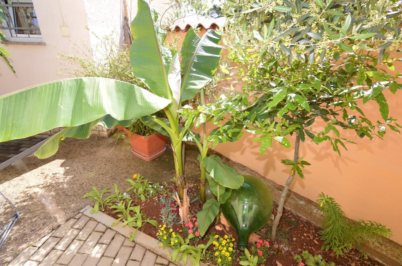 Apartmani Dekovic Materada 波雷奇 外观 照片