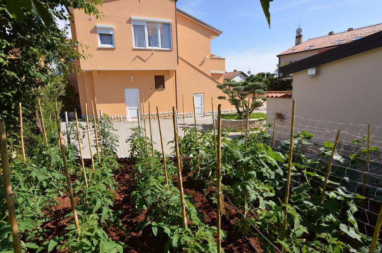 Apartmani Dekovic Materada 波雷奇 外观 照片