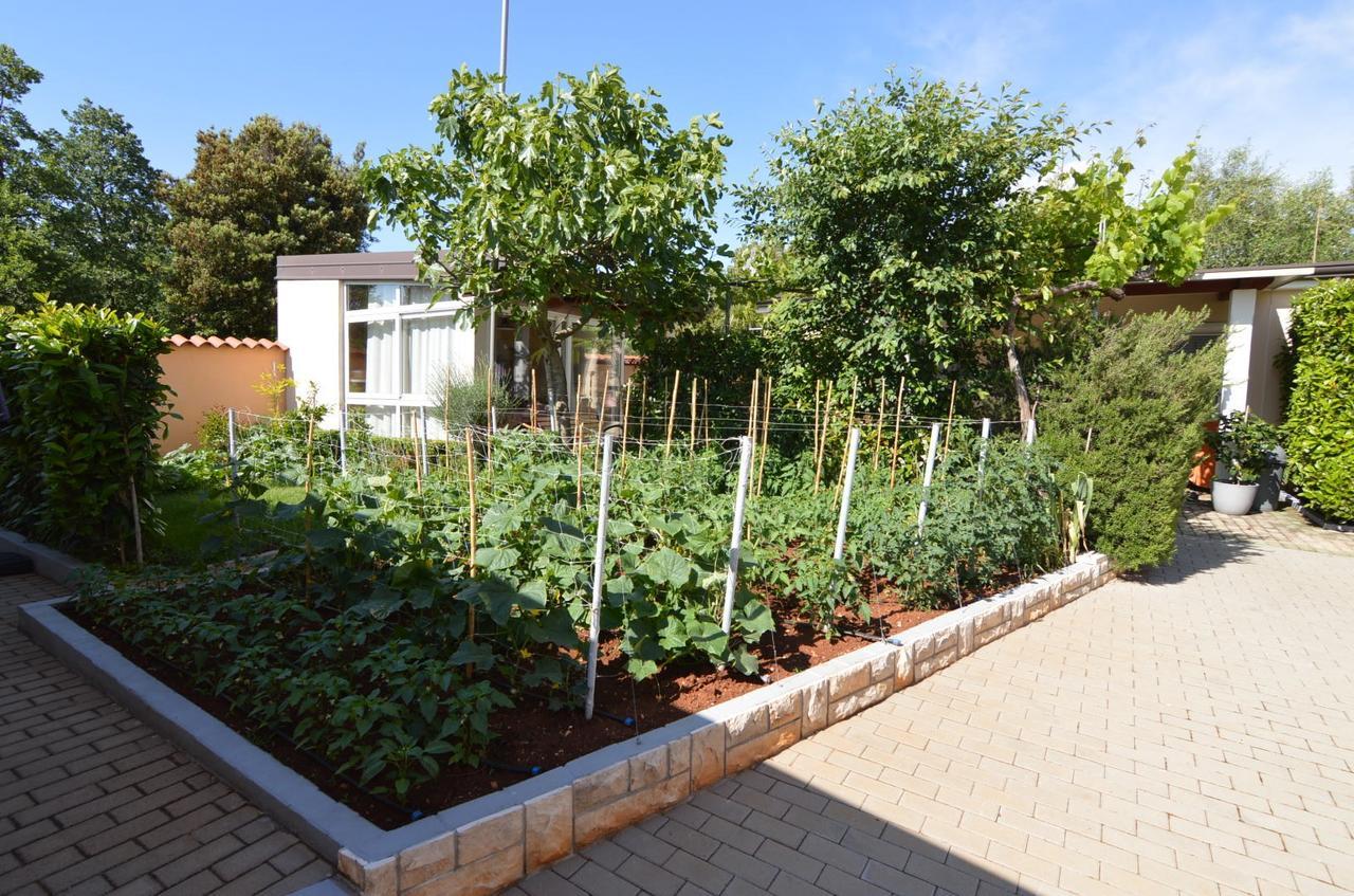 Apartmani Dekovic Materada 波雷奇 外观 照片